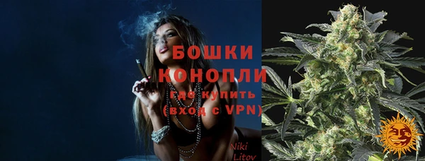 молекула духа Иннополис