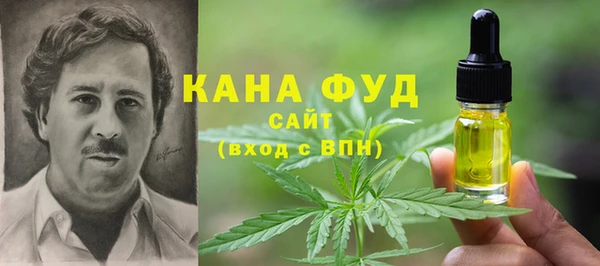 молекула духа Иннополис