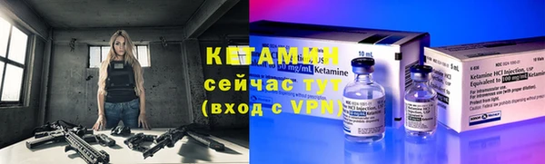 сатива Инсар