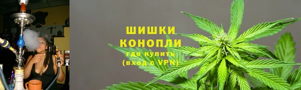 сатива Инсар