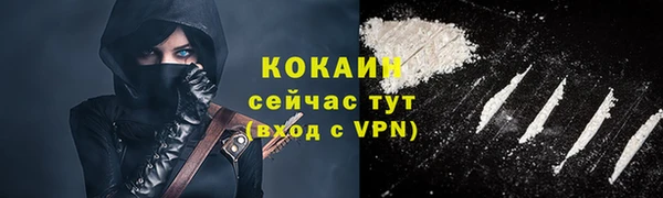 сатива Инсар