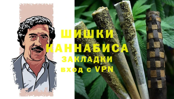 сатива Инсар