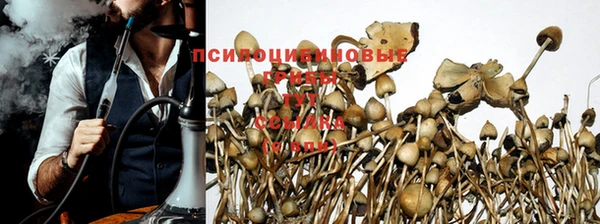 молекула духа Иннополис
