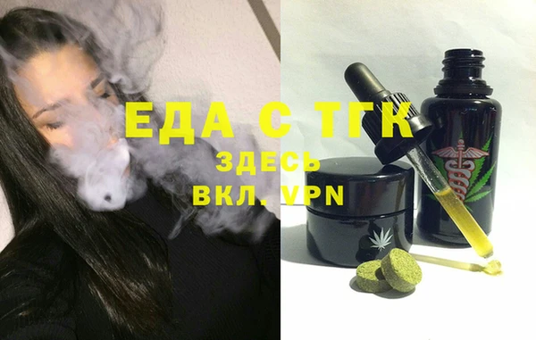 сатива Инсар