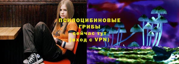 молекула духа Иннополис